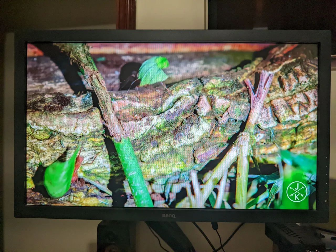 Monitor Benq Zowire 24" - Foto 5