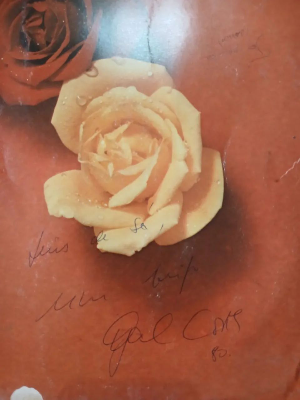Lp GAL TROPICAL AUTOGRAFADO  - Foto 2