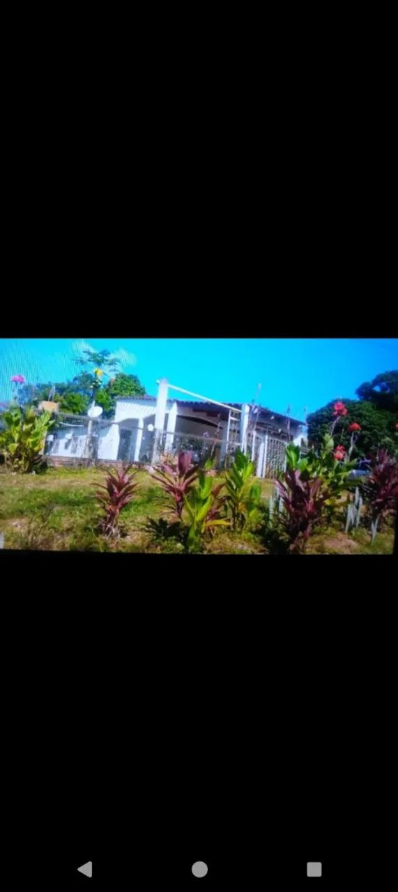 Vendo chácara em Rio Branco, Acre  - Foto 3