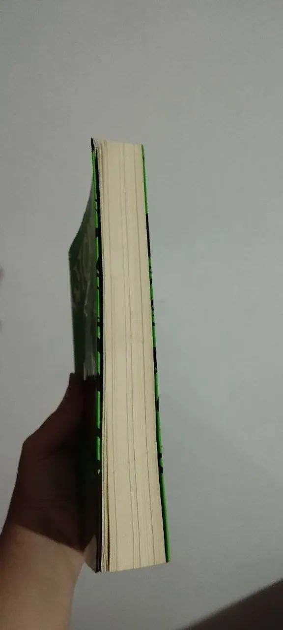 Livro Wicked  - Foto 4