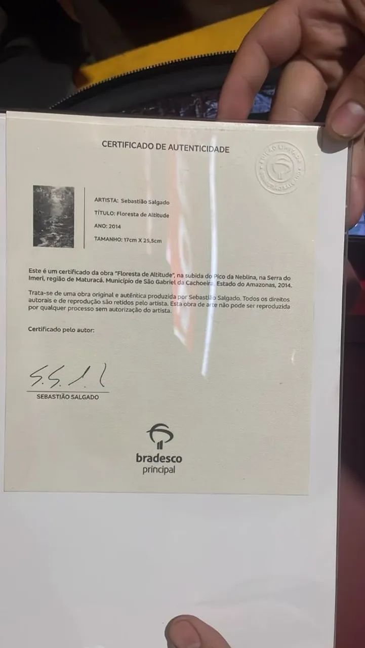 Fotografia Sebastião salgado Floresta de atitude - Foto 4