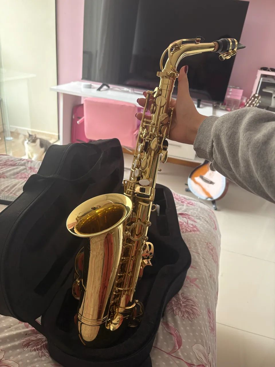 Sax Harmonics + capa + palheta 