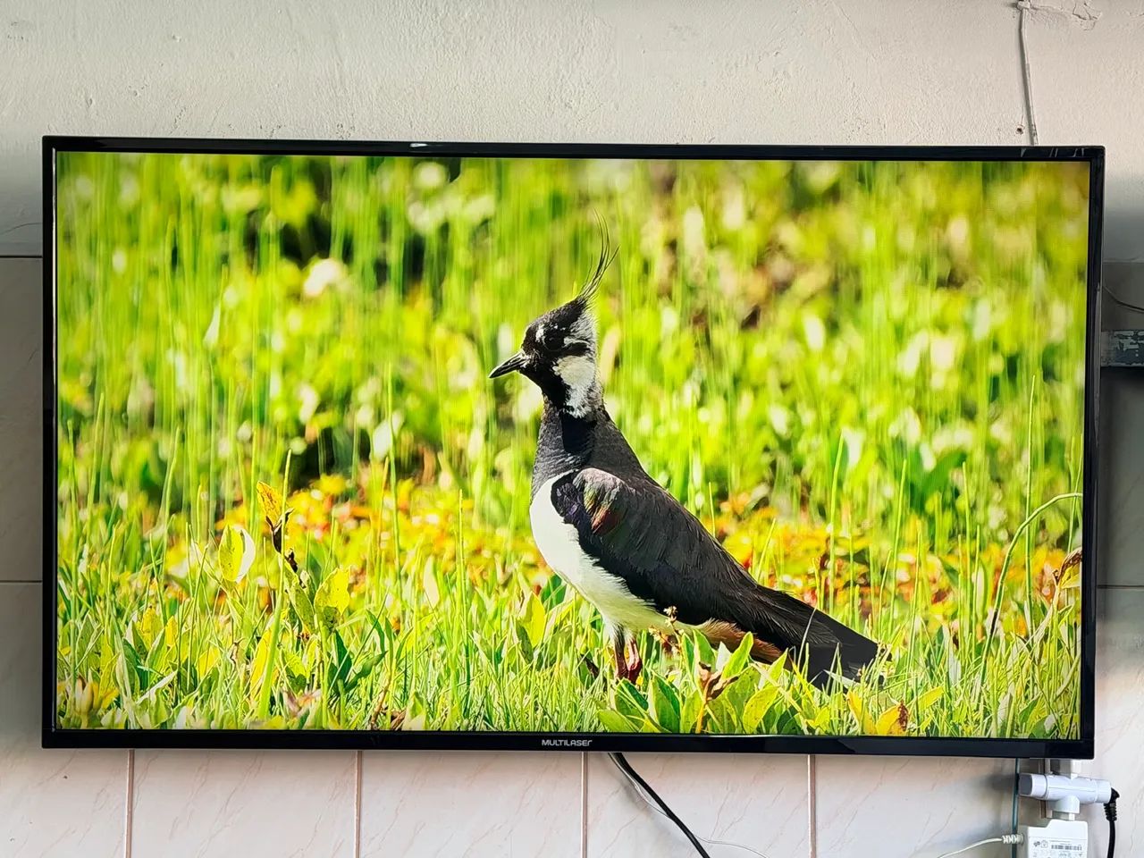 Smart Multilaser full hd 43 polegadas  - Foto 3
