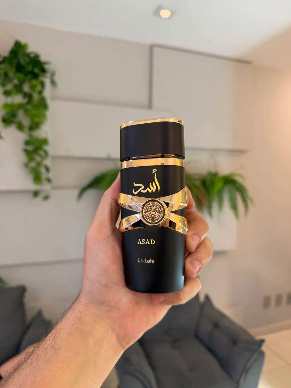 Perfume Asad - Lattafa 