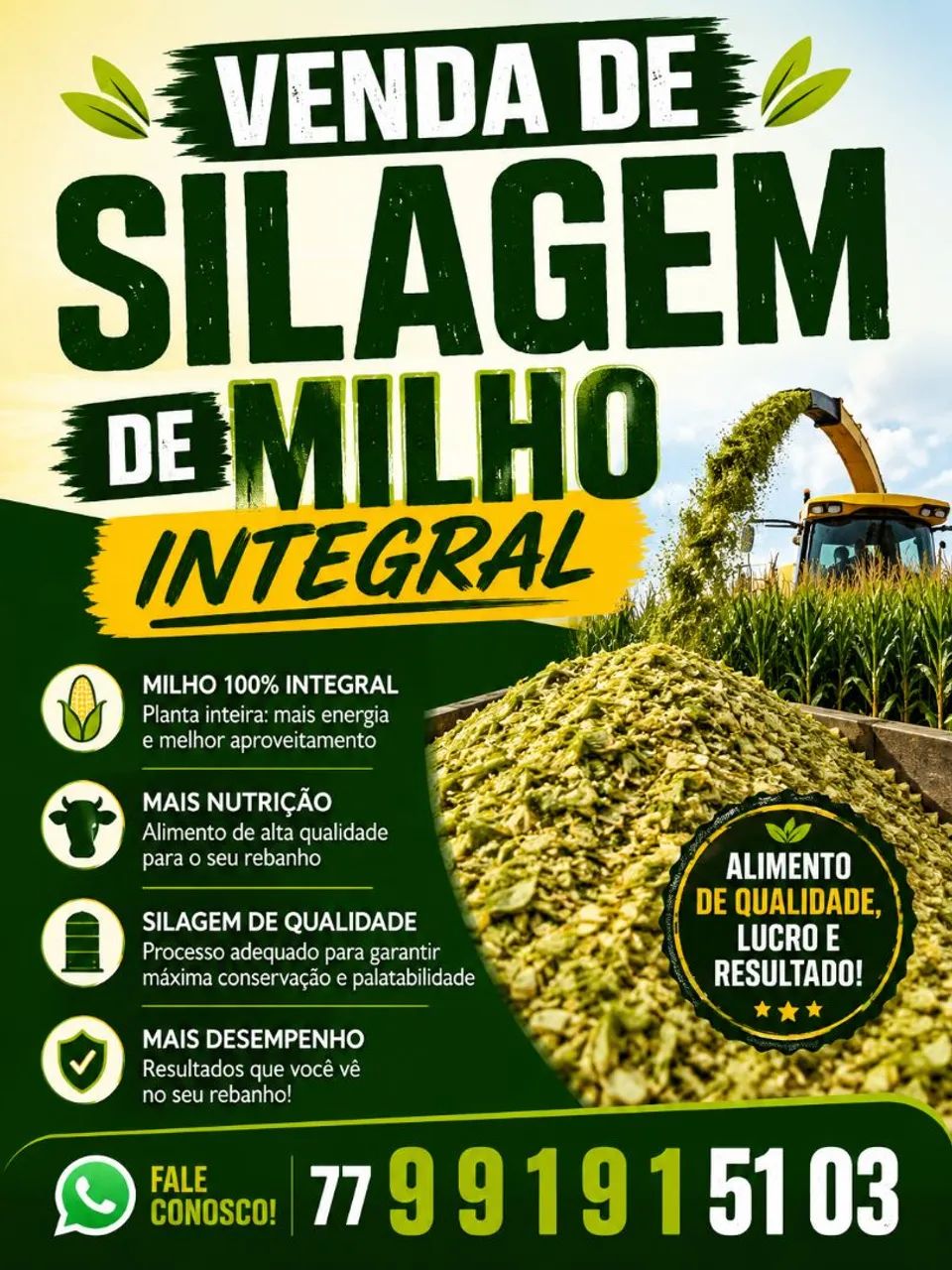 Silagem de milho 