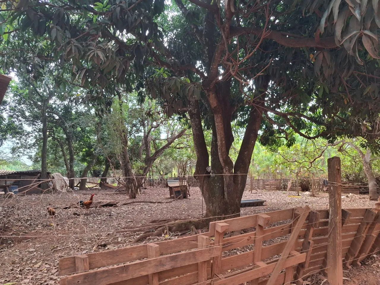 Chácara  - Foto 2