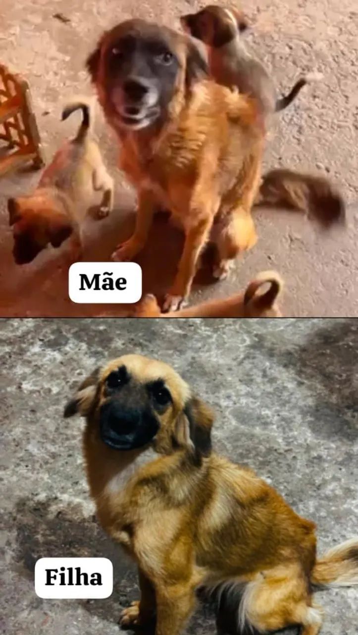 Procura se  - Foto 3
