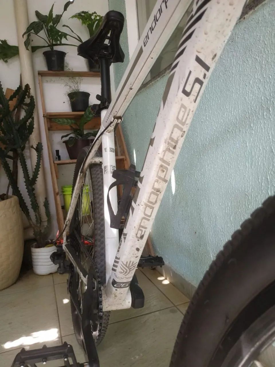 Bicicleta Endorphine 5.1 - Foto 2