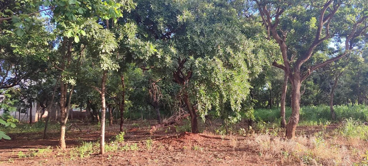 Chácara em Abadia de Goiás  - Foto 3