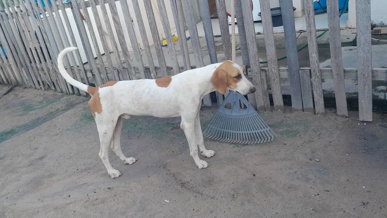 Vende-se 