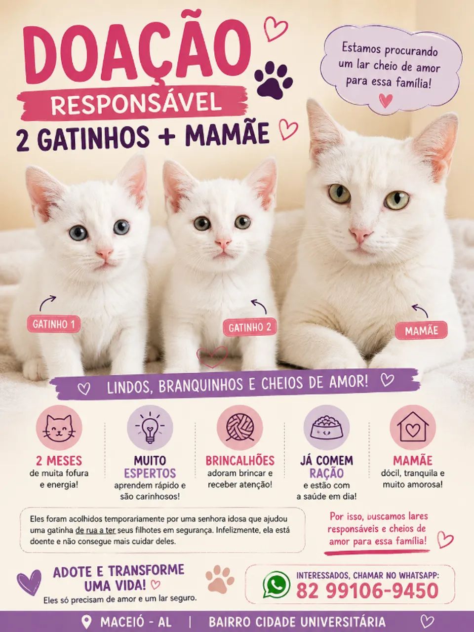 2 Gatinhos Branquinhos Lindos e Saudáveis