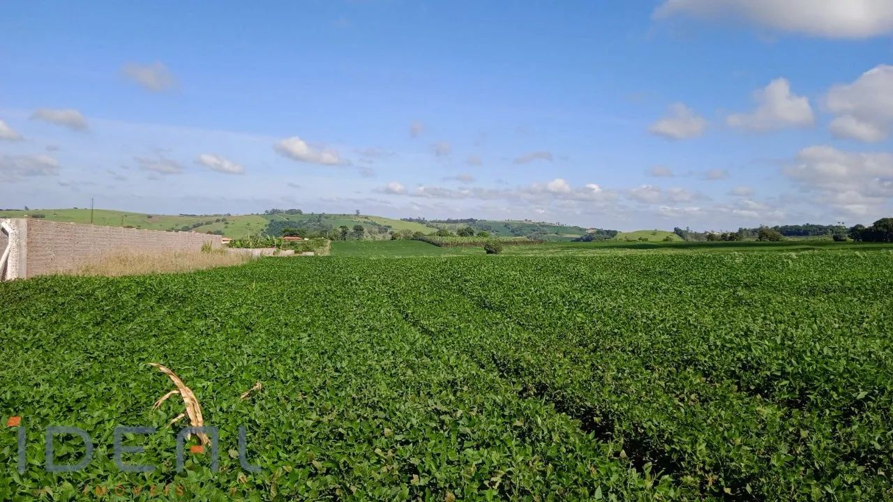 Sítio a venda em Jandaia do Sul/PR - Foto 4