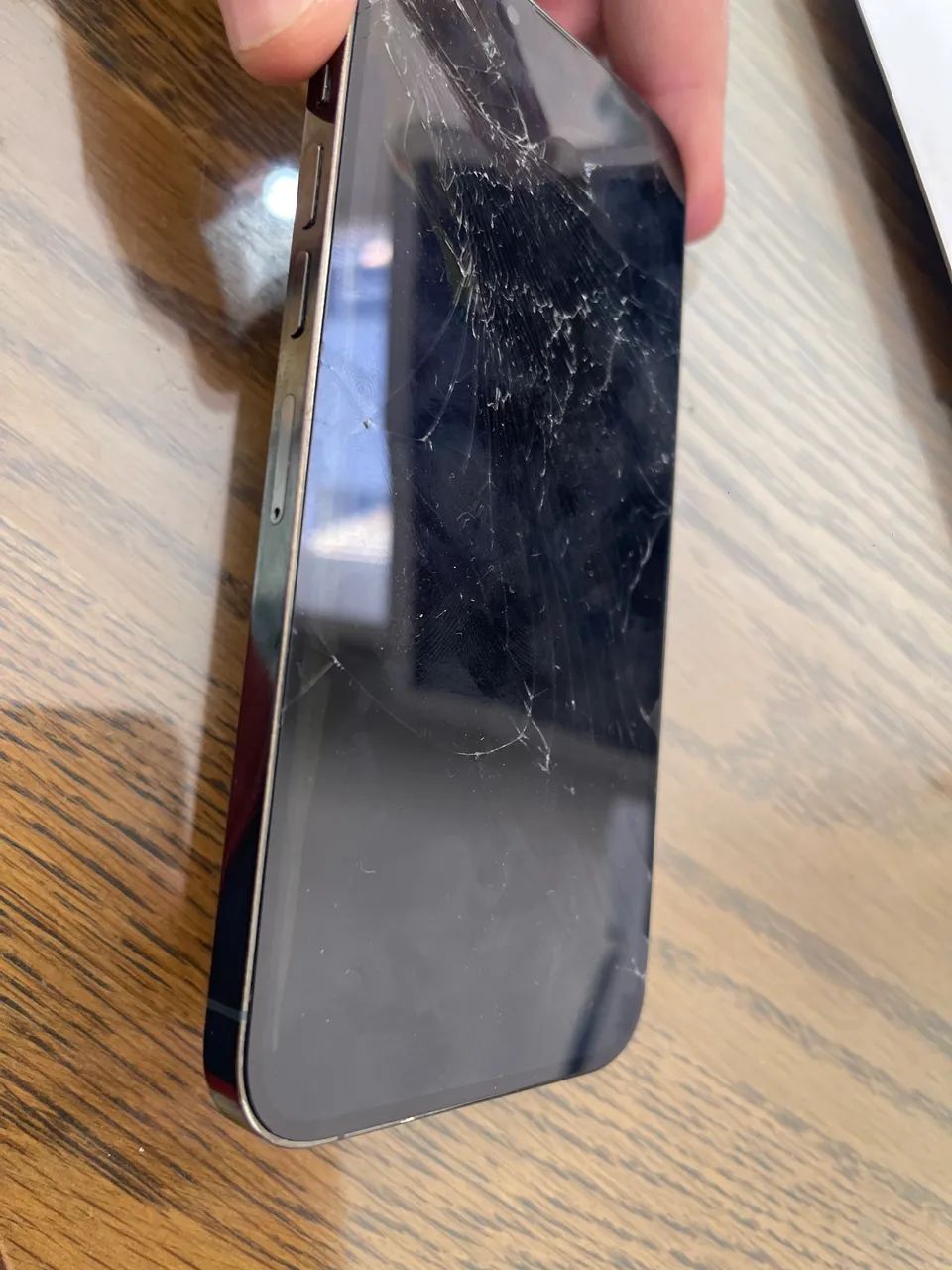 IPhone 13 Pro Max Peças 