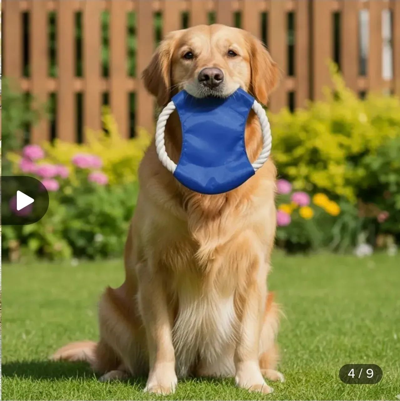 Frisbee para Cachorro - Foto 3