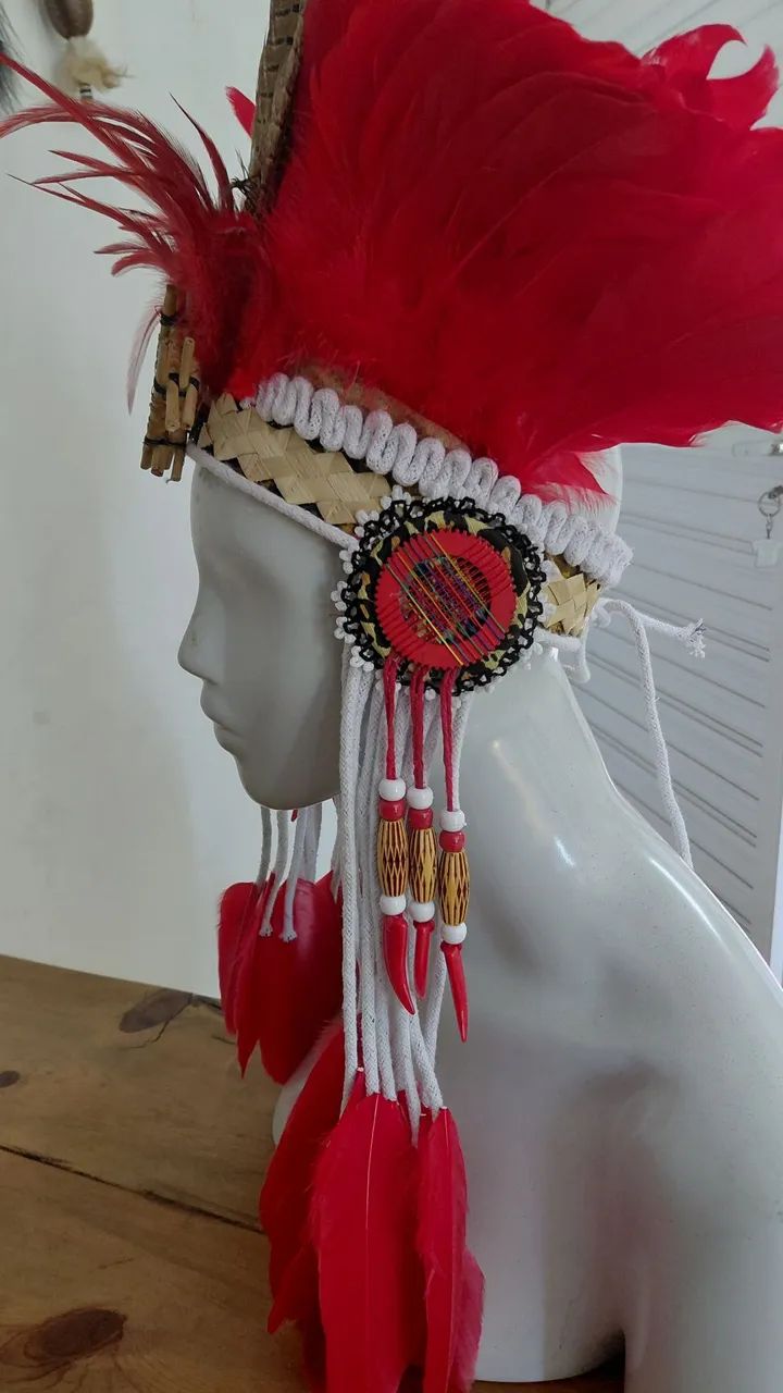 Cocar indigena - Foto 2