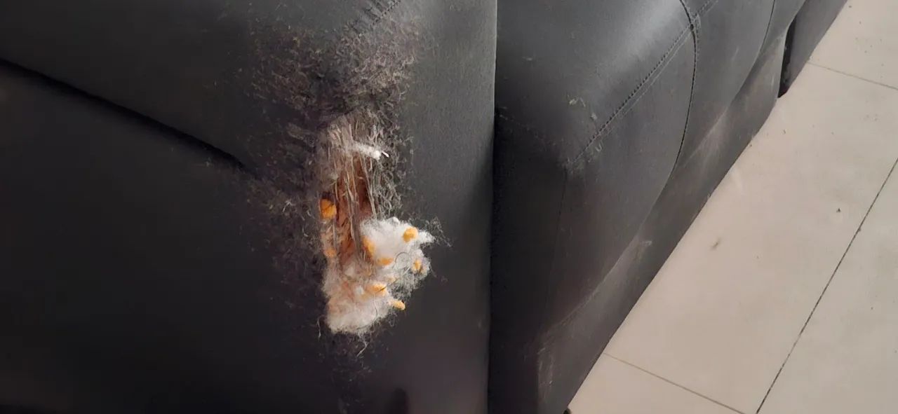 2 sofás 4 lugares no total - Foto 3