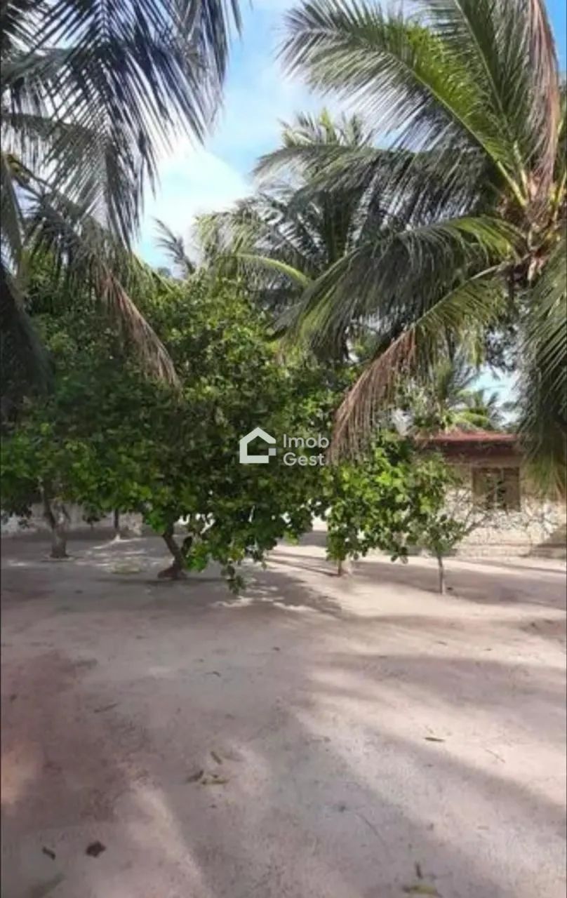 Chácara à venda em Parnamirim - Foto 5