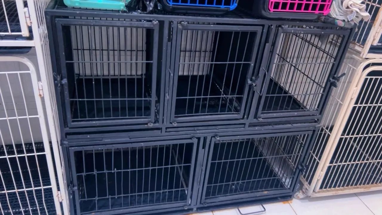 Gaiola pet Shop