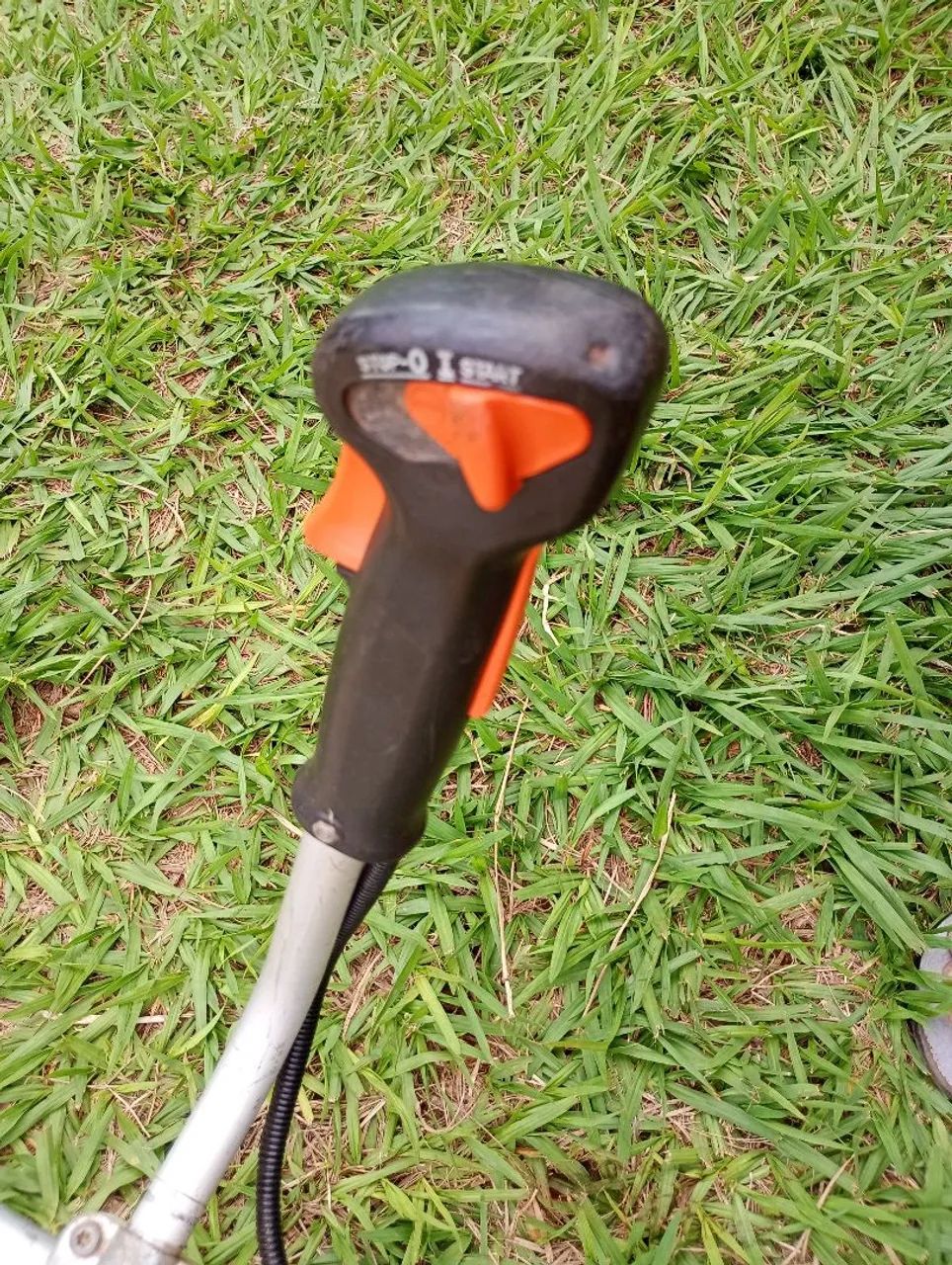 Vende se Rosadeira - Foto 3