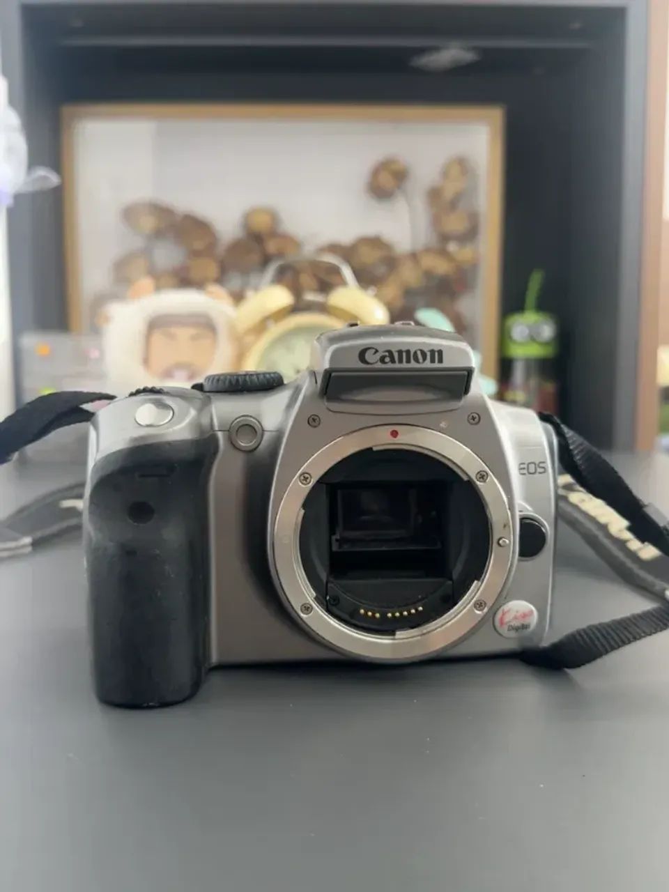 Camera Canon EOS 300D