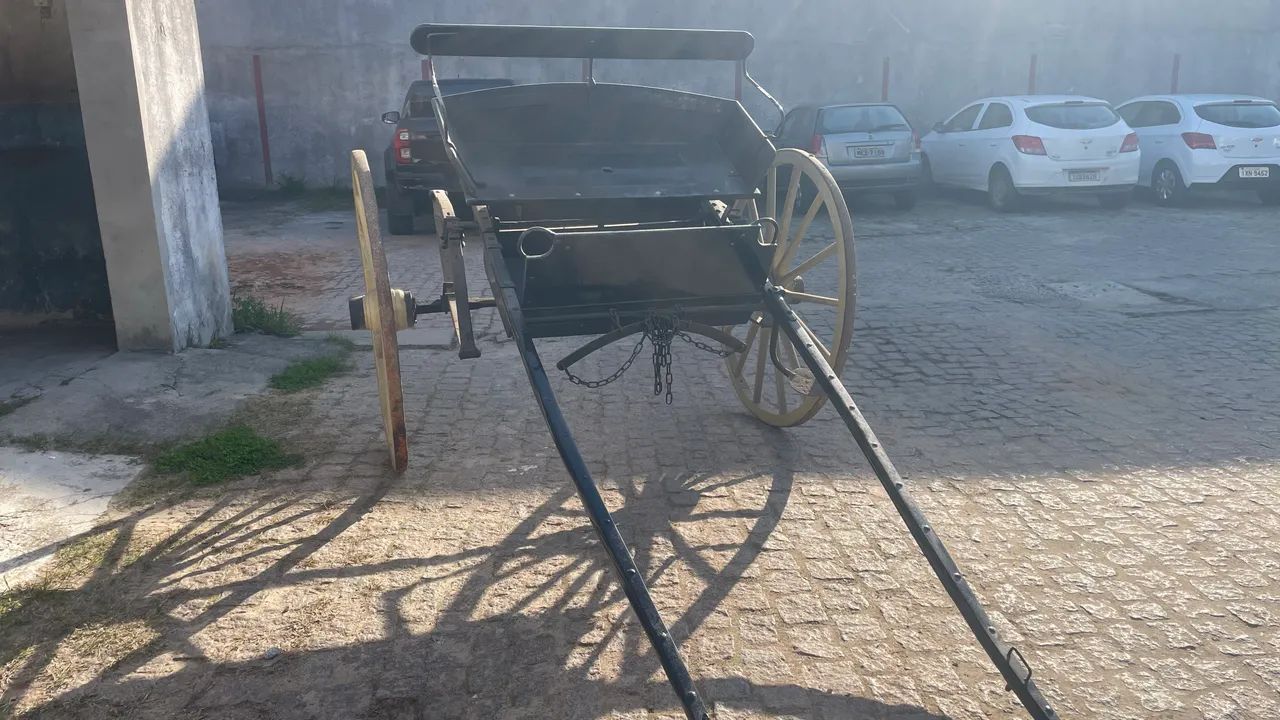 Charrete faéton aranha  - Foto 3