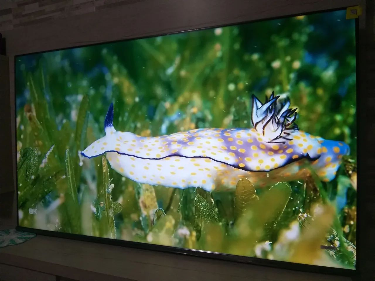 Tvs  - Foto 2