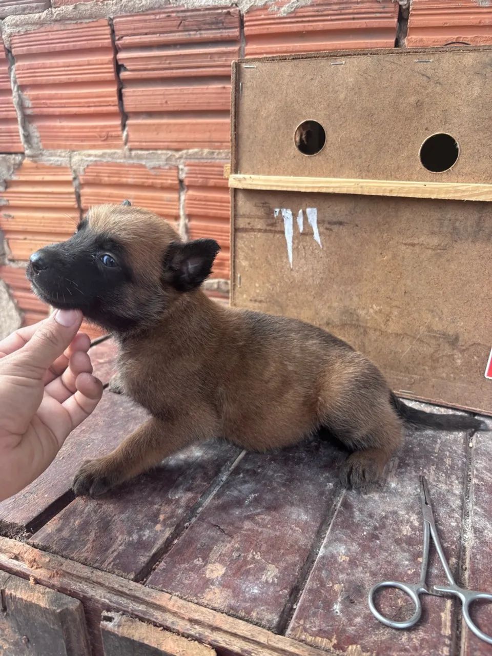 Vende se