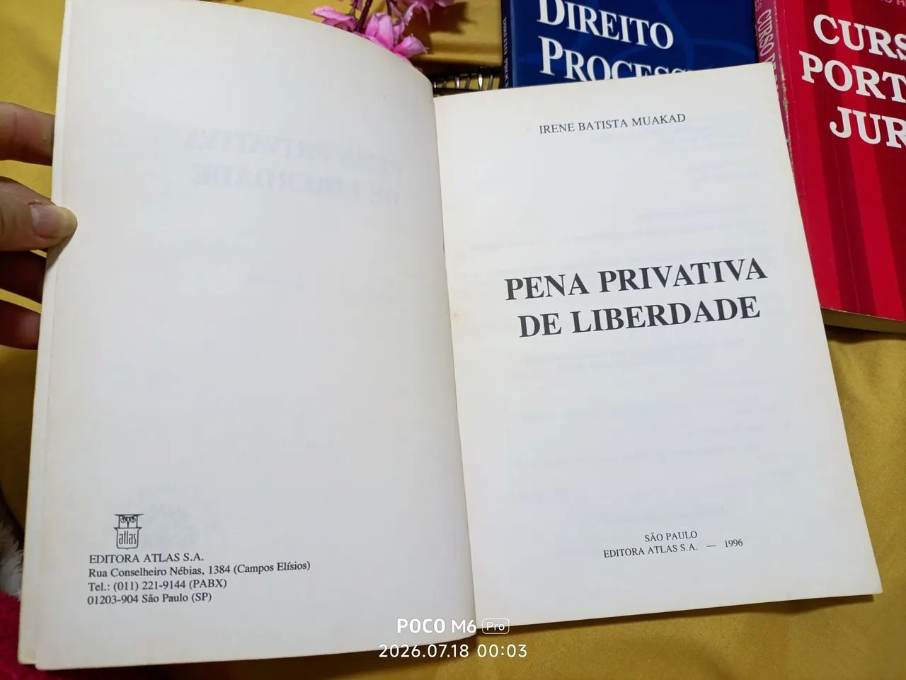 Livros de Português jurídico |Direito processual penal| Pena privativa da liberdade. - Foto 5