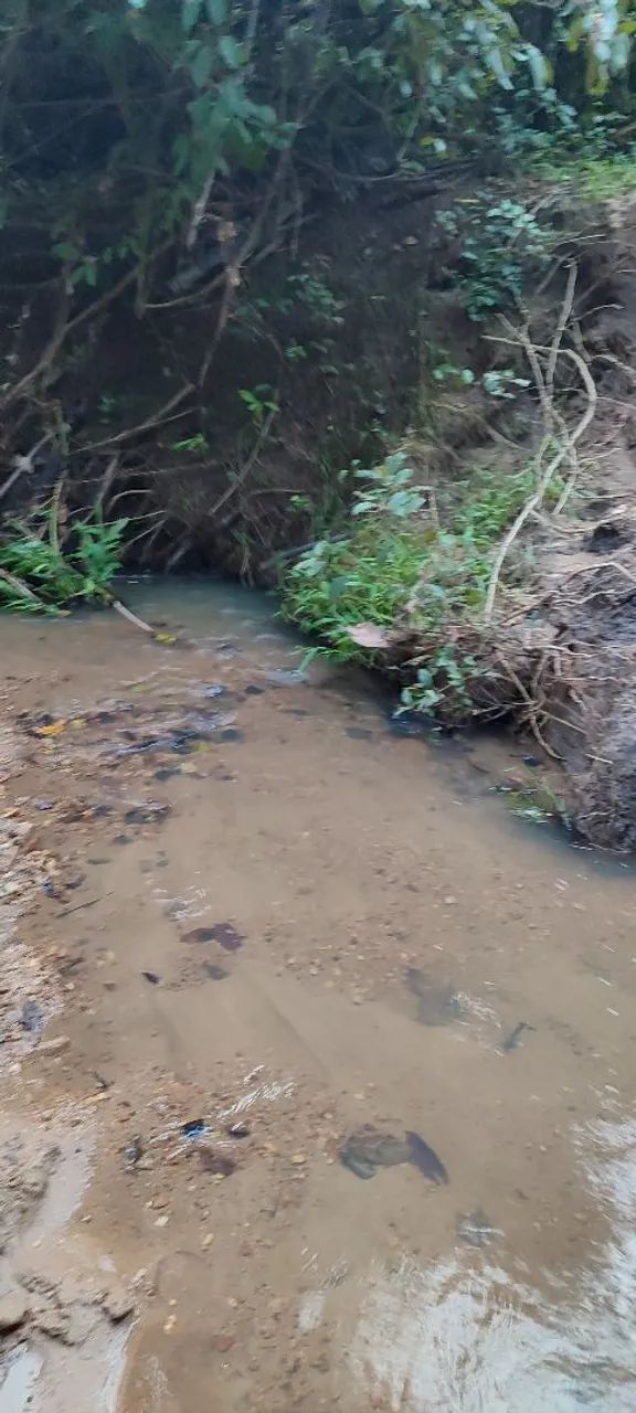 Chácara em Mairipotaba  - Foto 4