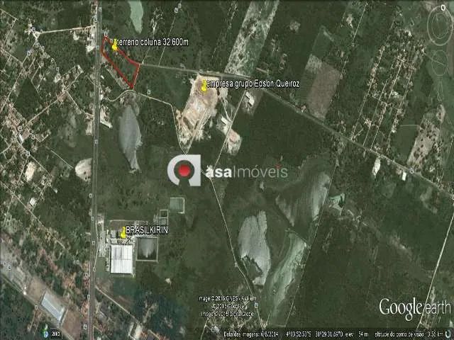 Terreno em Horizonte! - Foto 4