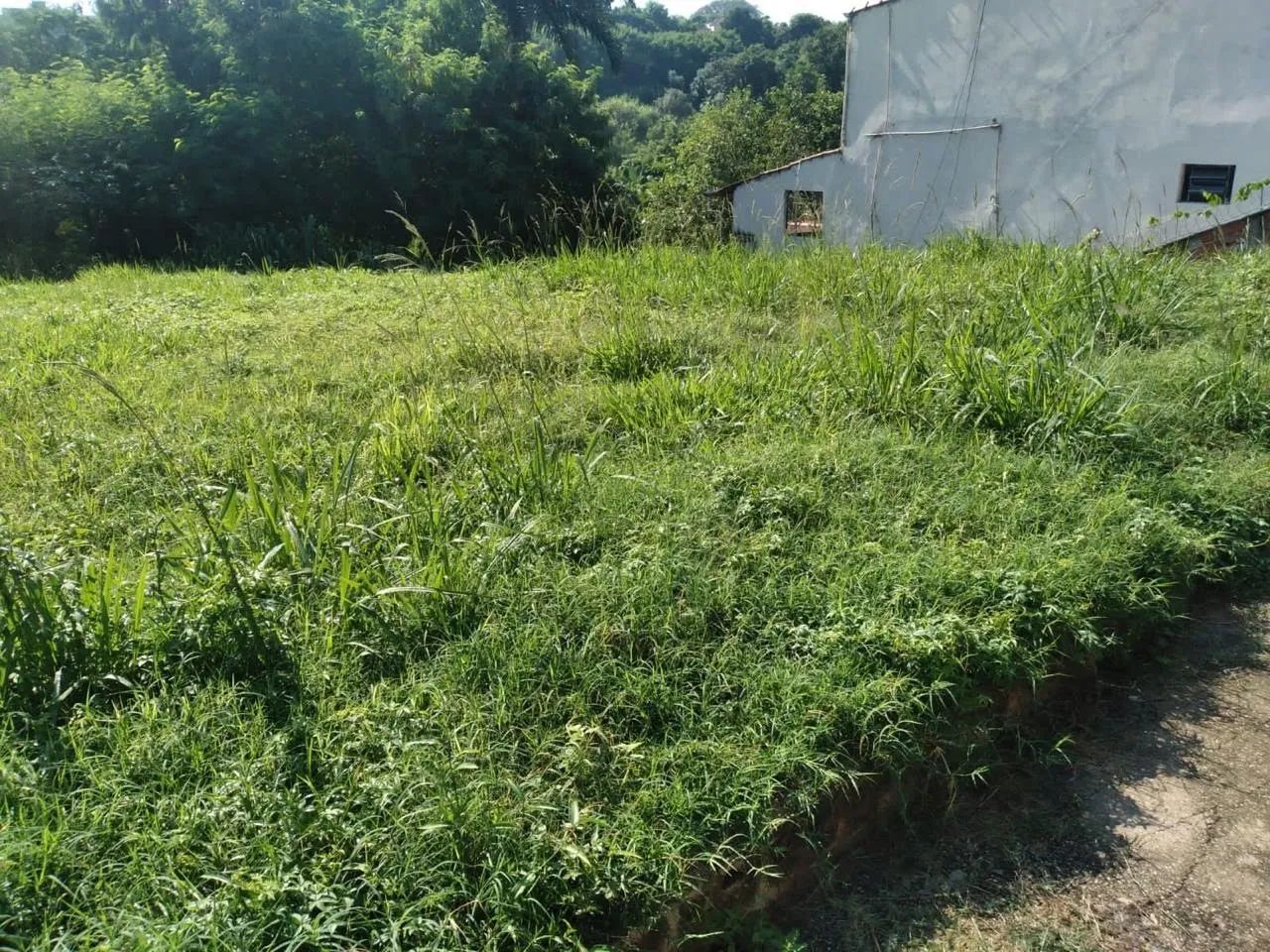 Excelente oportunidade de investimento! - Foto 3