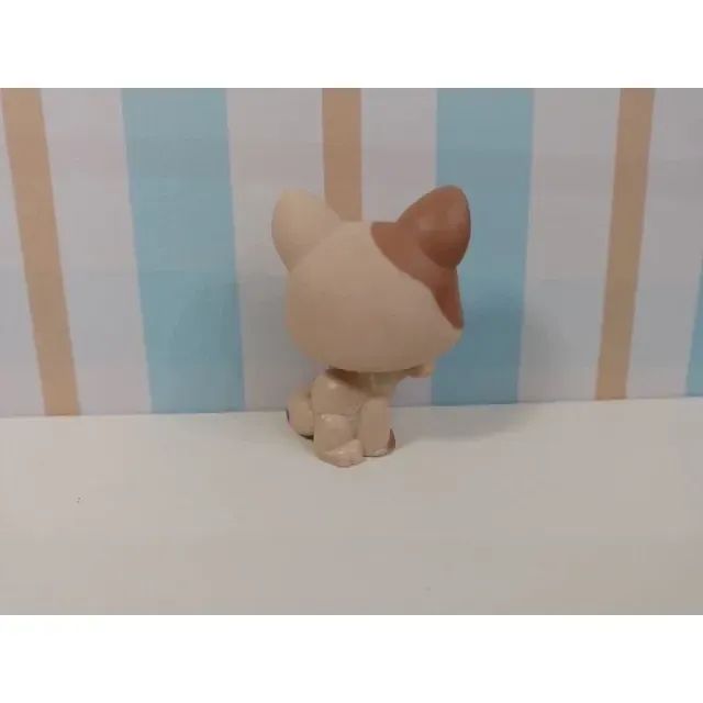 Littlest Pet Shop Gato - Foto 3