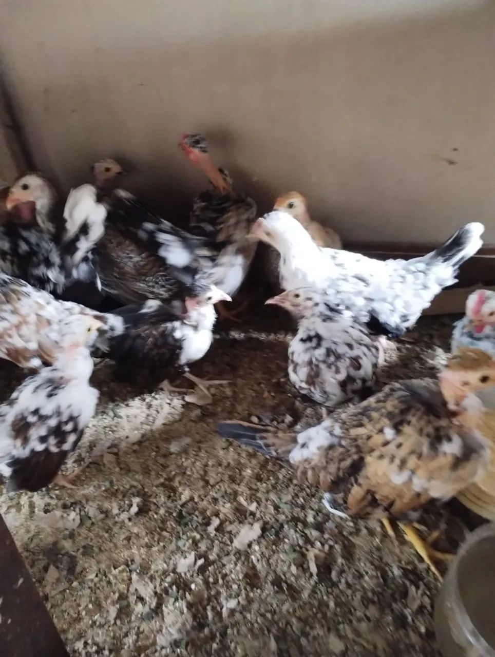 Mini garnizer  - Foto 4