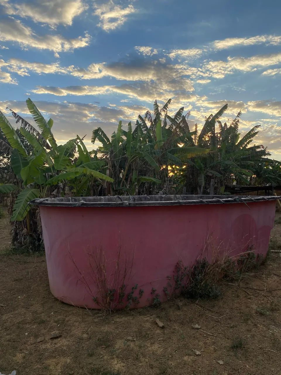piscina  - Foto 2