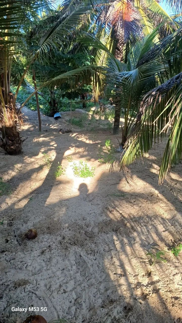 Vendo um terreno na praia  - Foto 5