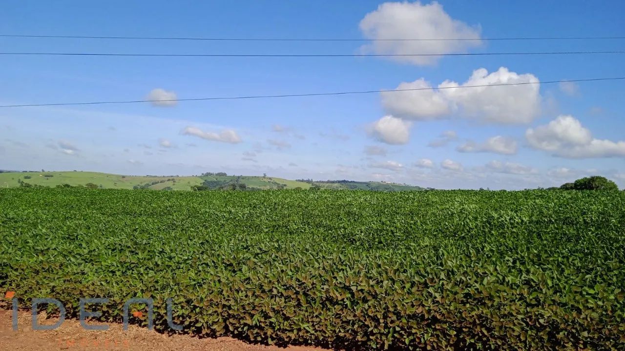 Sítio a venda em Jandaia do Sul/PR - Foto 5