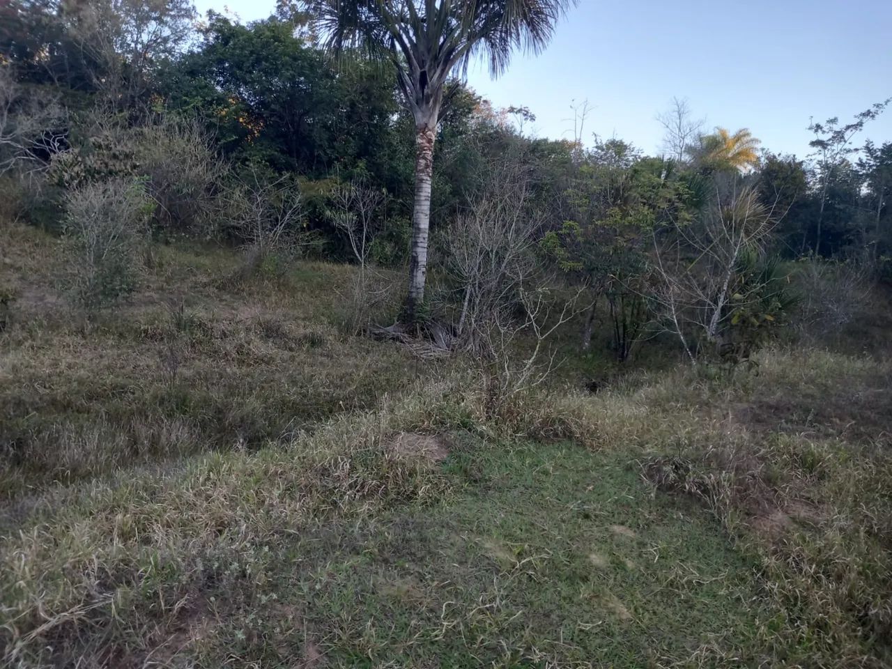 Sítio de 16,5 hectares com córrego  - Foto 4