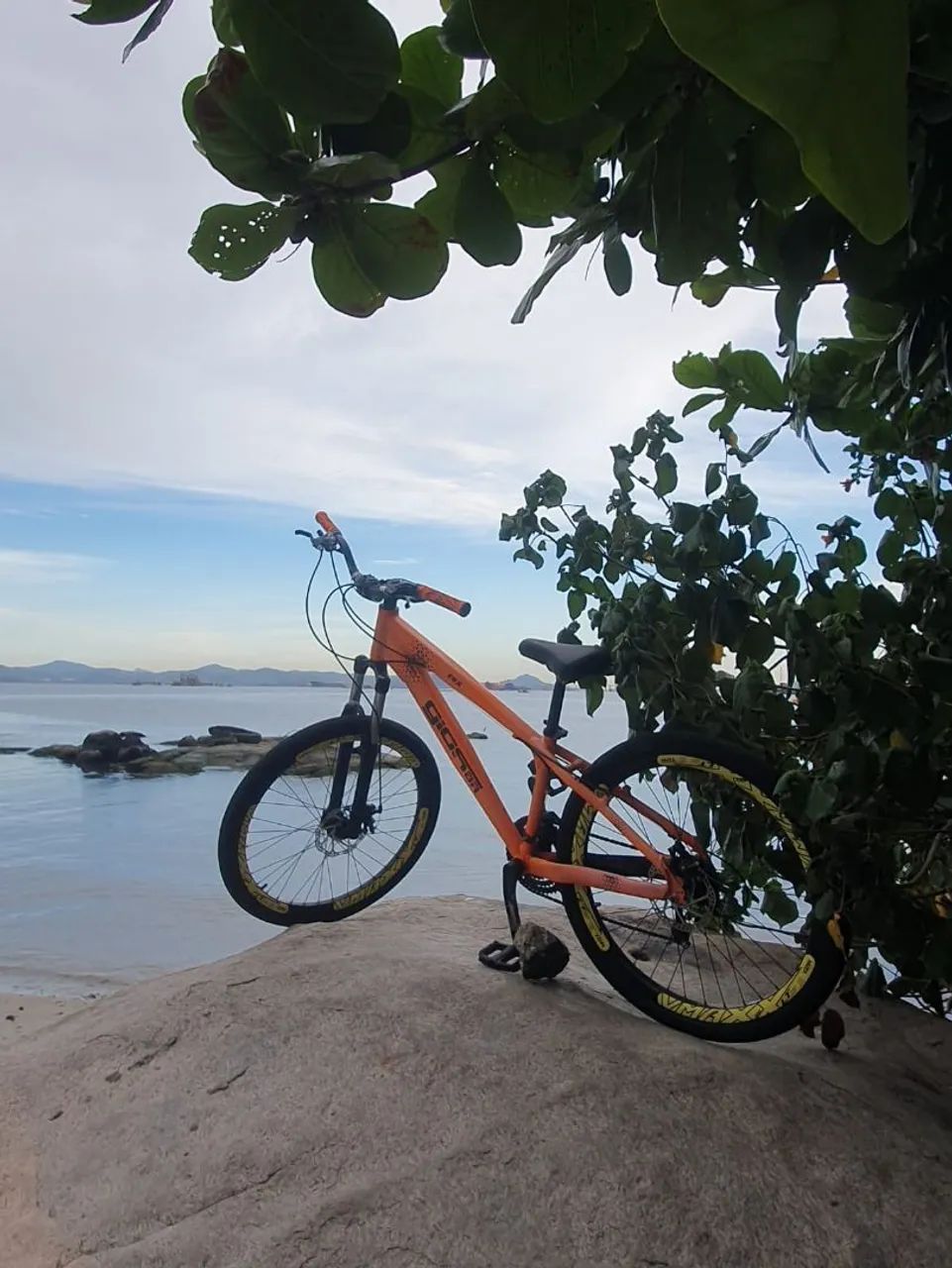 bicicleta gios frx ano 2017