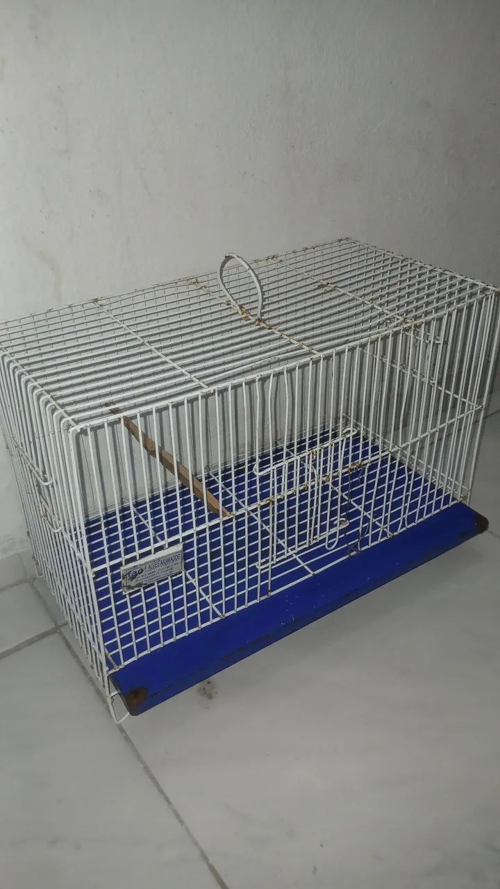 Gaiola - Foto 2