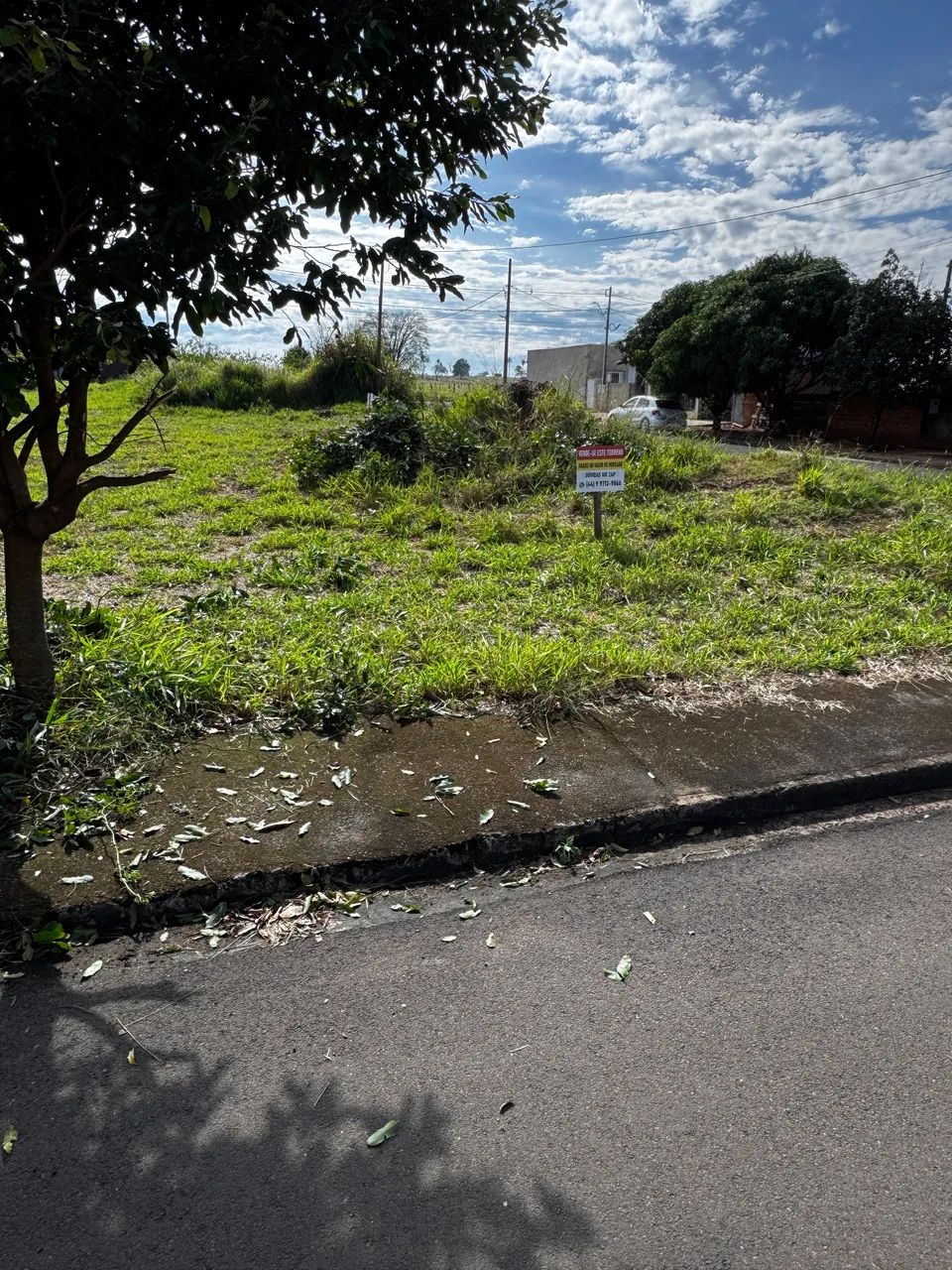 Terreno em Santa Cruz de Monte Castelo  - Foto 2