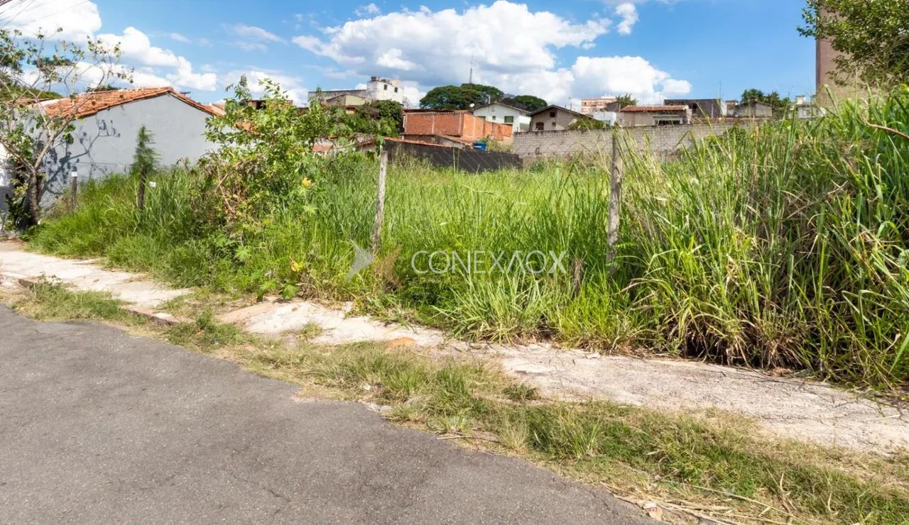 terreno - Vila João Jorge - Campinas - Foto 4