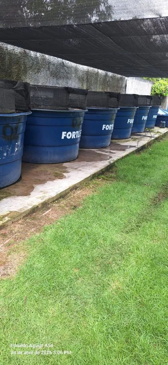 Vendo tudo Cedere 1 perto de Parauapebas. - Foto 3