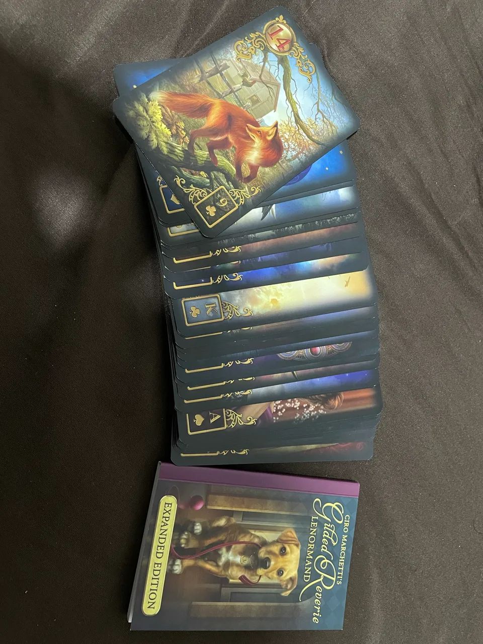 Ciro Marchetti Gilded Reverie Lenormand Baralho Cigano  - Foto 4