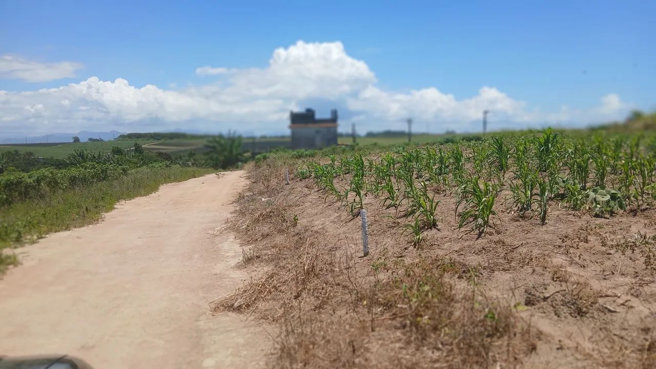 Terreeno
