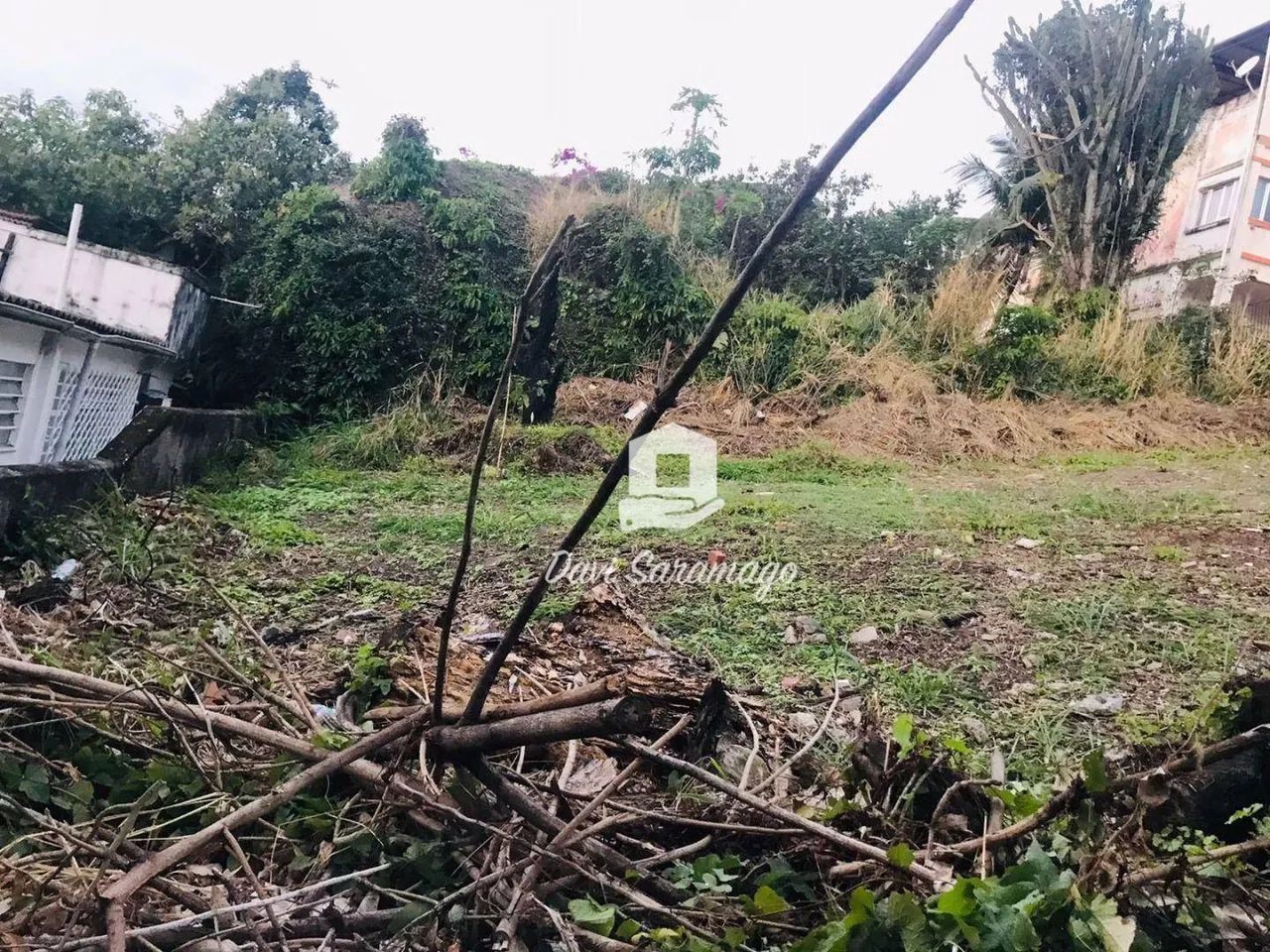 Terreno São Francisco - Foto 5