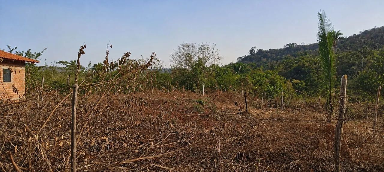 Terreno 15×30 - Foto 4