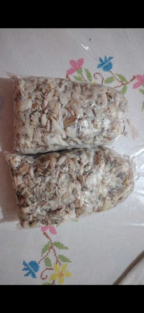 ? VENDE-SE MASSA E PATA DE CARANGUEJO!   - Foto 3