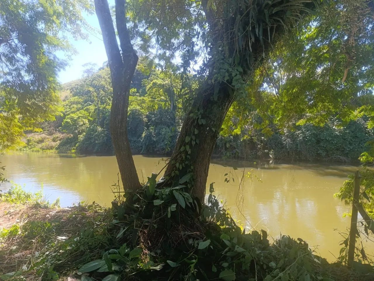 Terreno a venda  - Foto 3