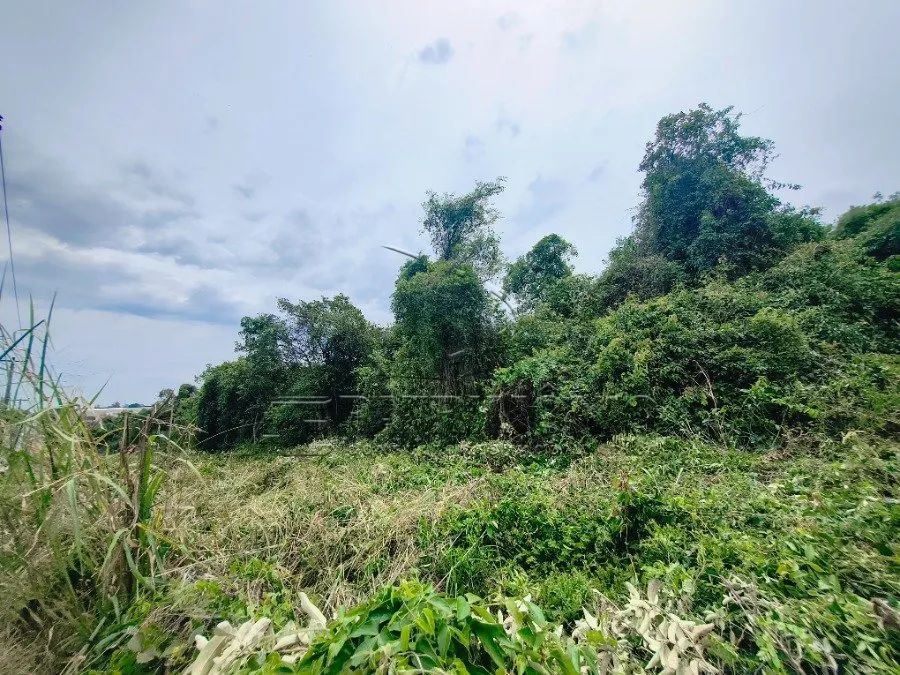 AREA COM 32.837,32M² - EDEN - Foto 6