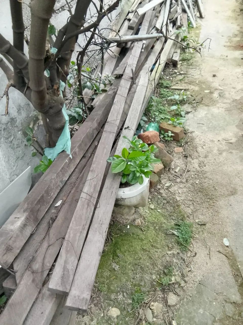 Madeiras para contrução  - Foto 2